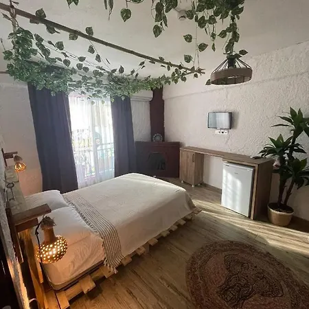 Homestay Mavi Ege Butik Otel *